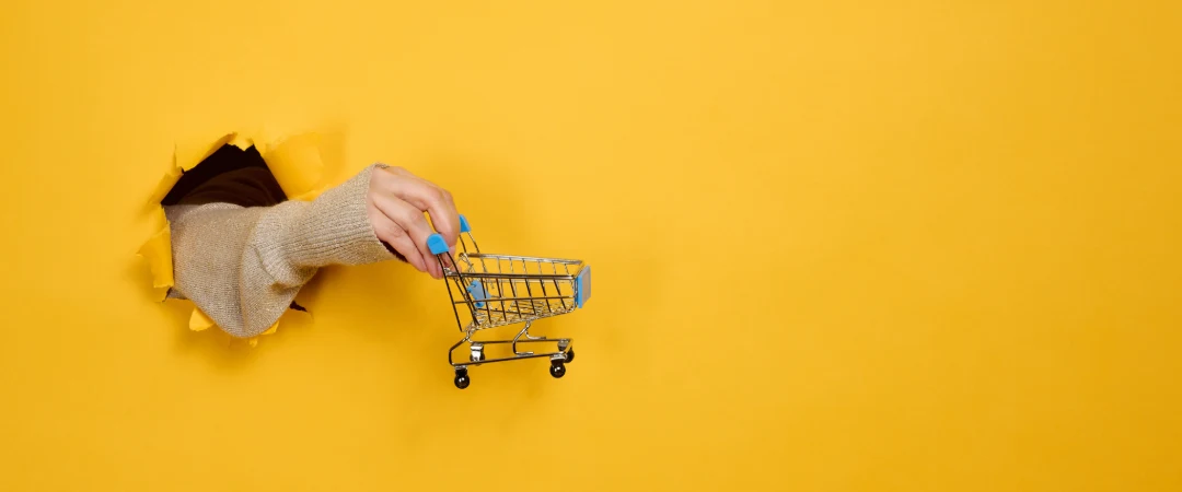 Best eCommerce Platform Provider In India