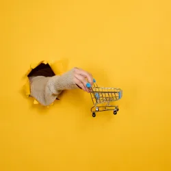 Best eCommerce Platform Provider In India