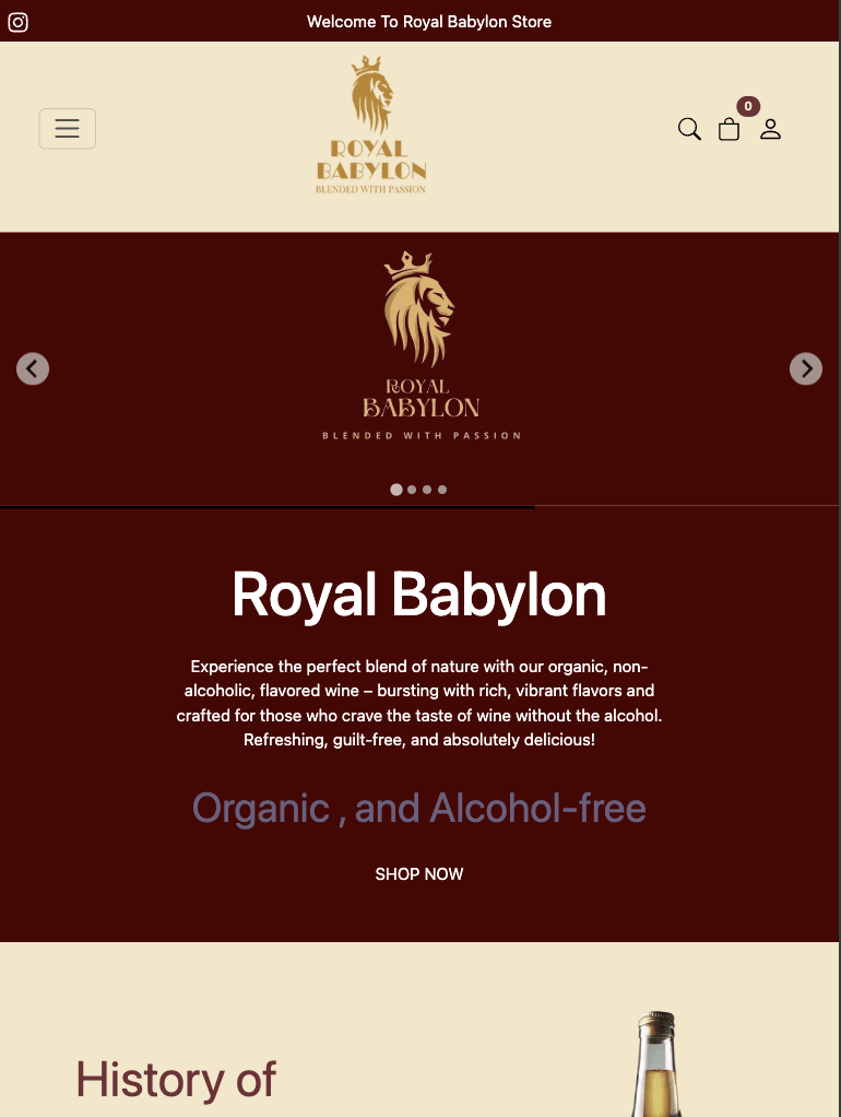 Best eCommerce website Themes
